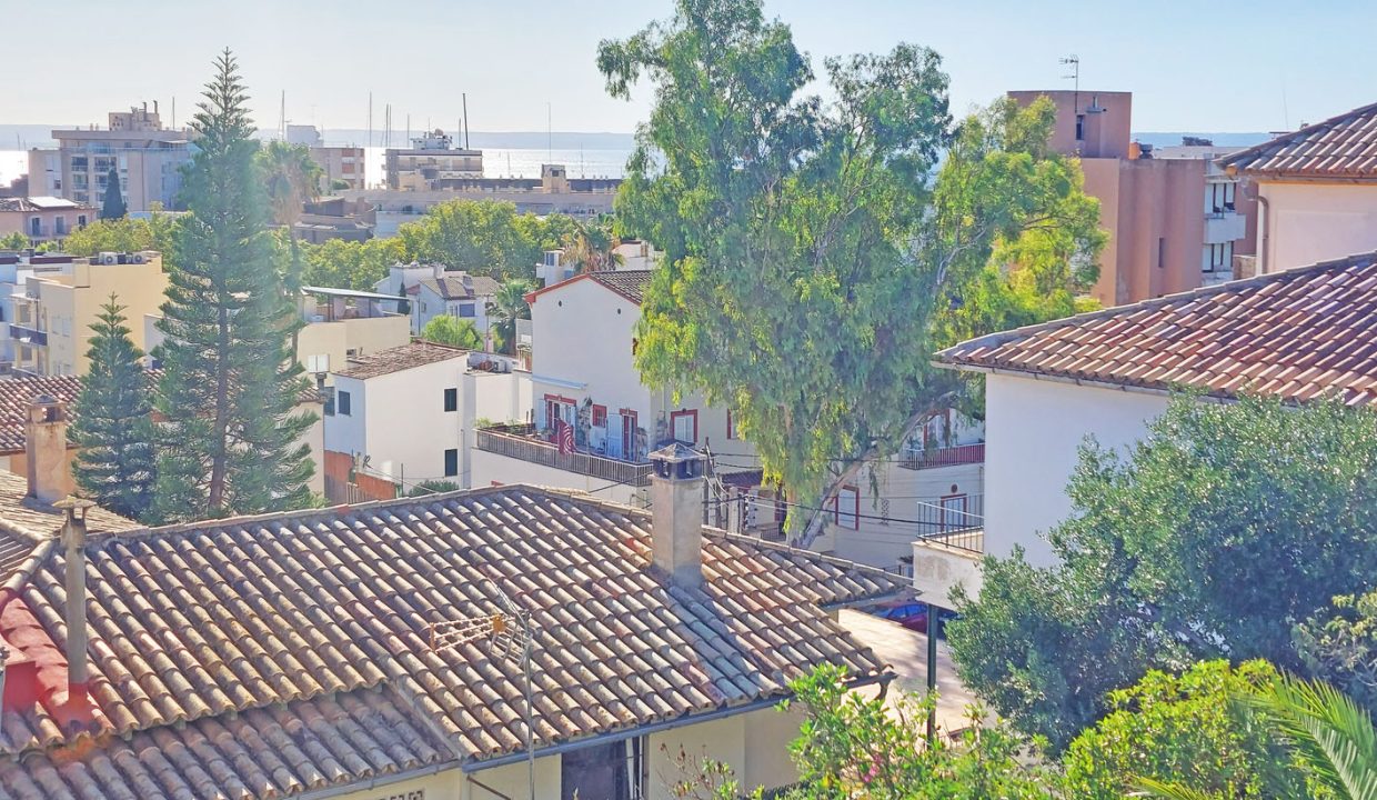 vistas02