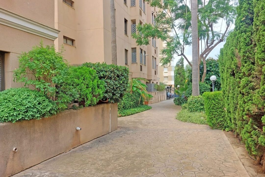 IMG-20260724-WA0017
